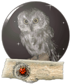 Site hosted by Neocities